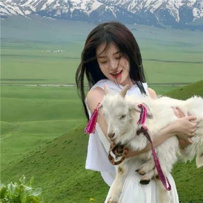 长翅膀的猪